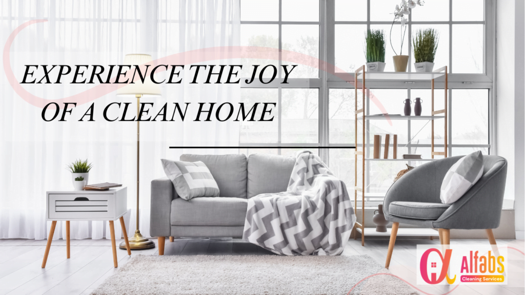 Experience the Joy of a Clean Home (6)